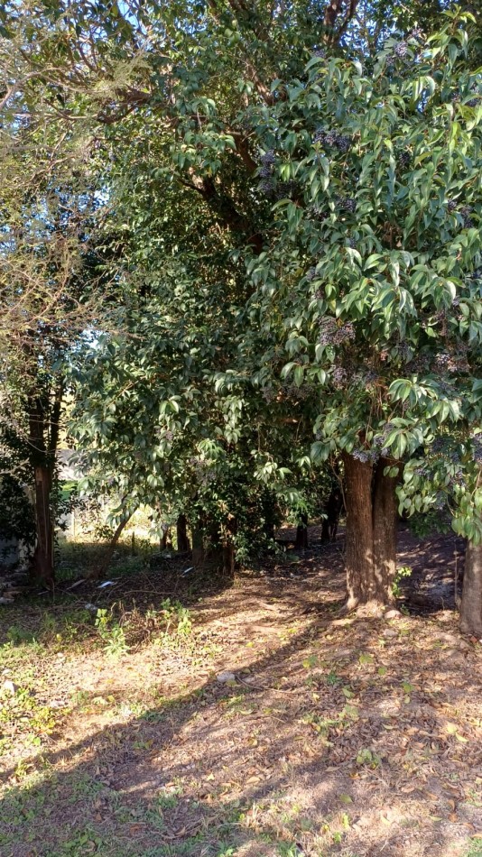 VENTA TERRENO VILLA CATALINA