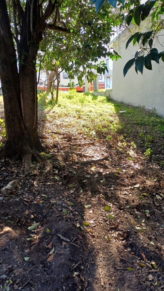VENTA TERRENO VILLA CATALINA